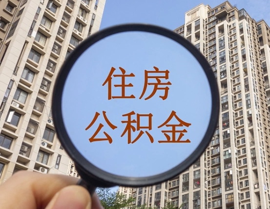 岳阳退休后查不到公积金明细了吗（退休后公积金查询不到原因）